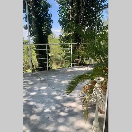 Hotel Casa Acacia 3*