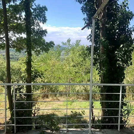 Casa Acacia Hotel 3*